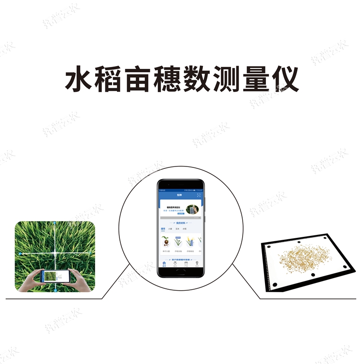 水稻畝穗數(shù)測量儀 TPDS-1