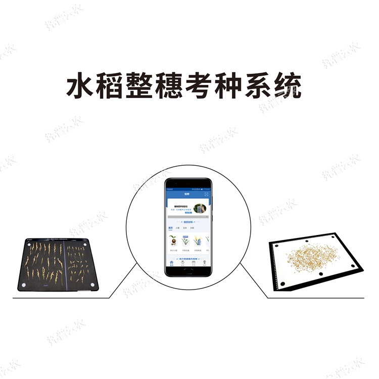 水稻整穗考種測量系統(tǒng) TPDS-X-1 plus