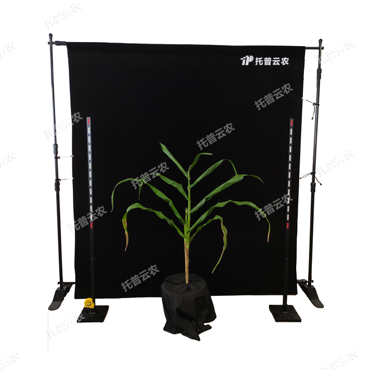 玉米株型分析系統(tǒng) TPMT-X-1