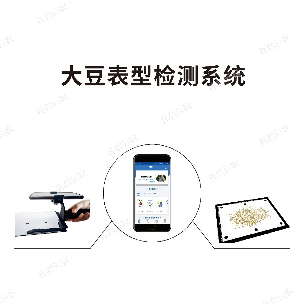 大豆表型檢測儀 TPD-BX-1